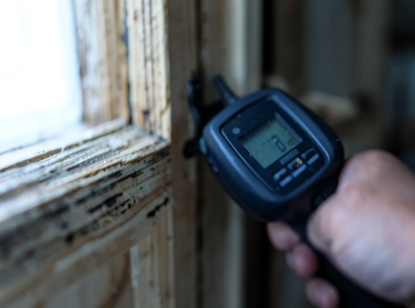 Moisture Inspection And Documentation in Los Ebanos, TX